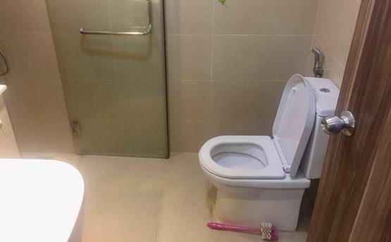 serviced apartment for rent in district 2 D299119 (3)